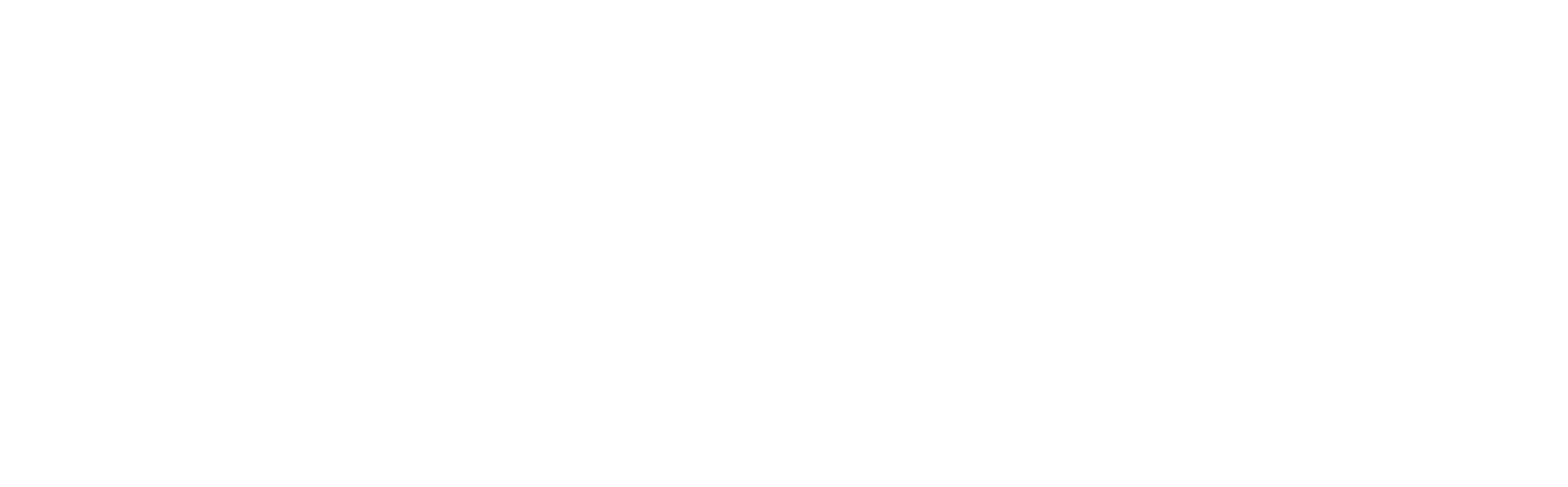 Lesman Innovation Logo